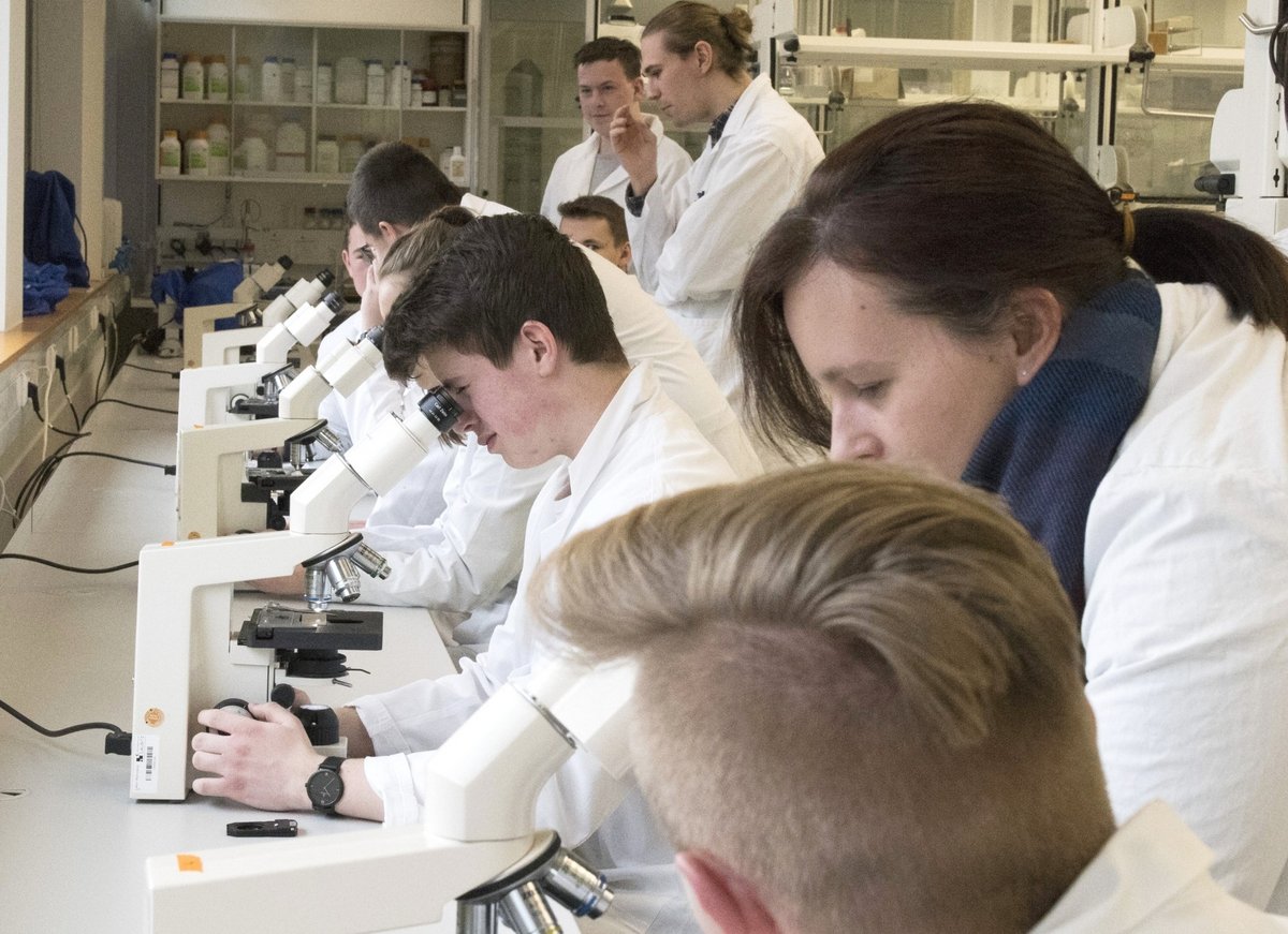 Studierende sitzen im Labor an einer langen weißen Arbeitsplatte mit vielen Mikroskopen Alle sehen durch die Mikroskope vor ihnen. Drei Betreuende schauen ihnen dabei über die Schultern.
